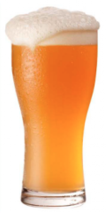 Cascade Pale Ale