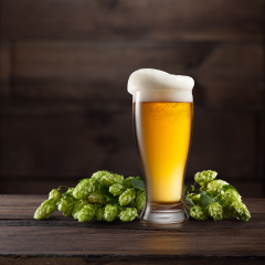 Hoppy Nobble Lager