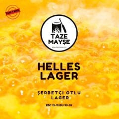 Helles Lager Tazemayşe