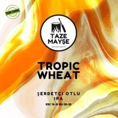 Tropic Wheat