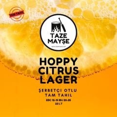 Hoppy Citrus Taze Mayşe