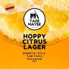 Hoppy Citrus Taze Mayşe