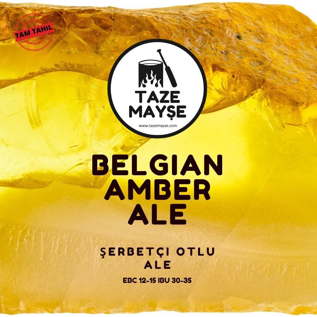 Belgian Amber Ale Tazemayşe Bira Kiti