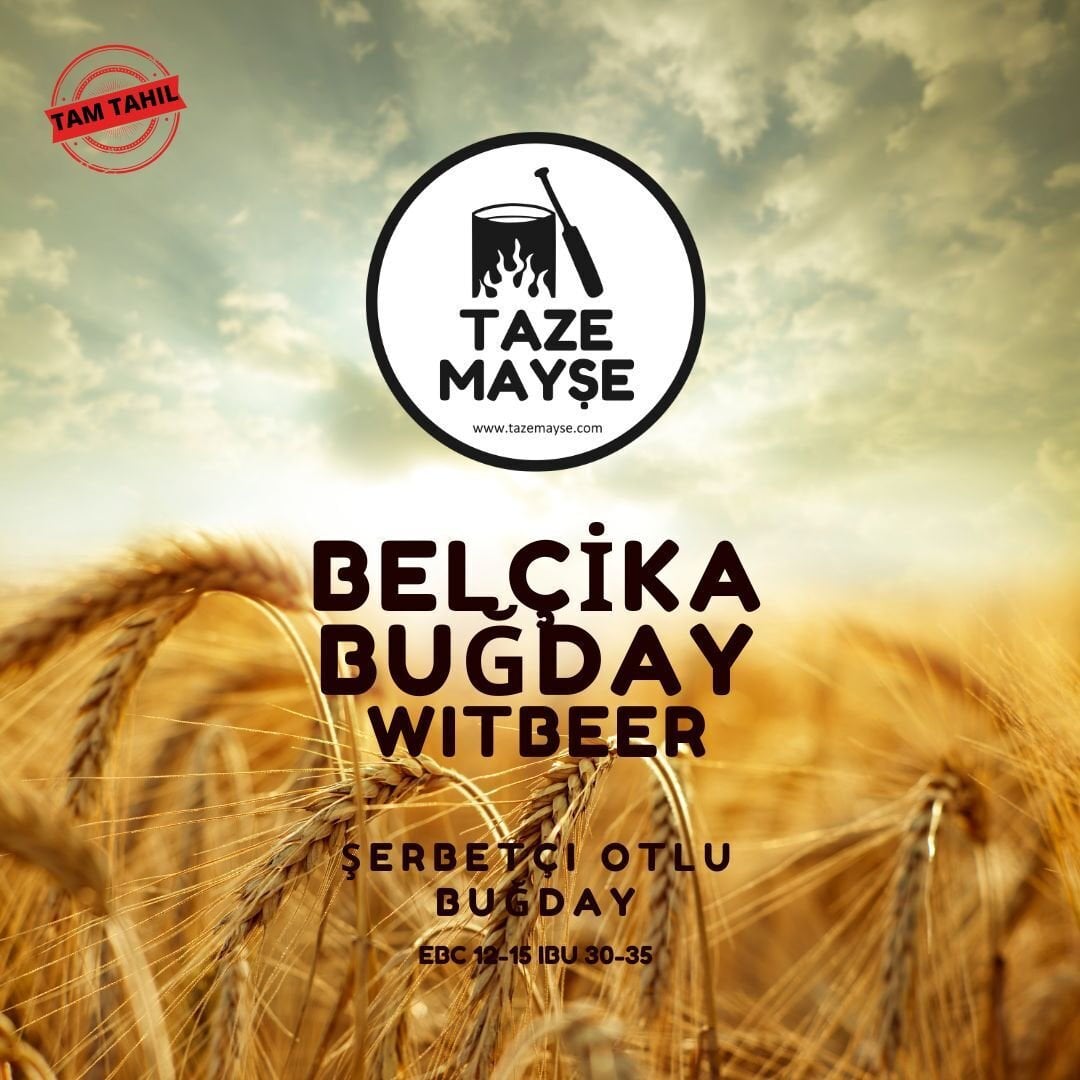 Belçika Buğday(Witbeer) Tazemayşe bira kiti