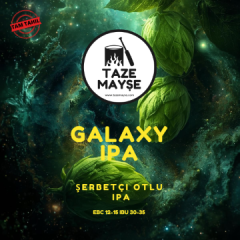 GALAXY IPA TAZEMAYŞE Bira Kiti