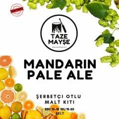 Mandarin Pale Ale Taze Mayse